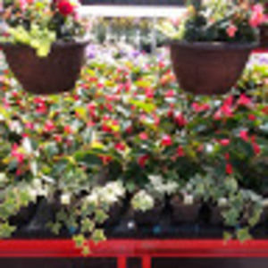 Meet your Posher, Joann